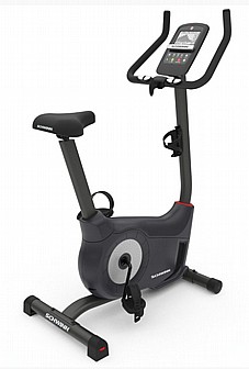 ����� ���� Schwinn 510U