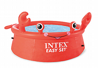 ����� ���� INTEX 26100 ����� ���� ���