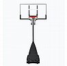 ���� �� 54 ����' Spalding Platinum
